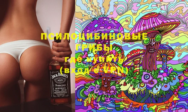 мдпв Арсеньев
