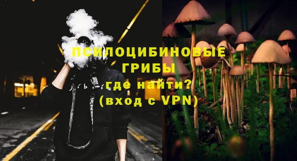 мдпв Арсеньев