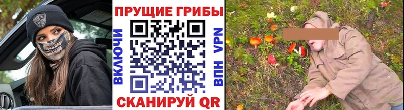хочу наркоту  Горбатов  Галлюциногенные грибы Magic Shrooms 